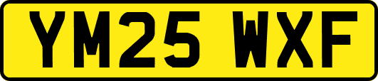 YM25WXF