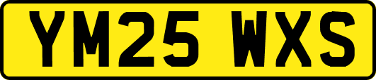 YM25WXS