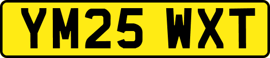 YM25WXT
