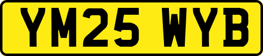 YM25WYB