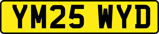 YM25WYD