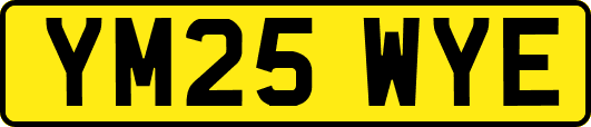 YM25WYE