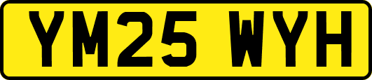 YM25WYH