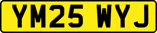 YM25WYJ