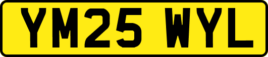 YM25WYL