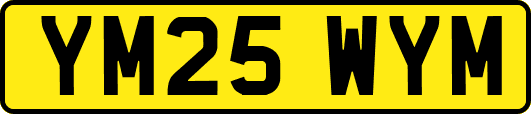 YM25WYM