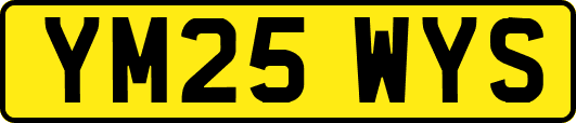 YM25WYS