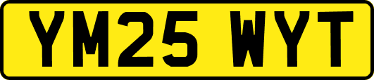 YM25WYT
