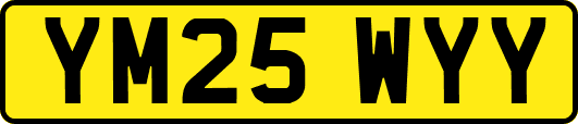 YM25WYY