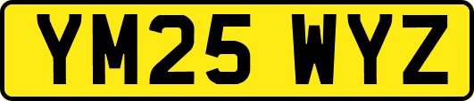 YM25WYZ