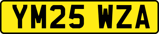 YM25WZA