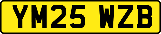 YM25WZB
