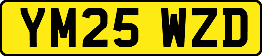 YM25WZD