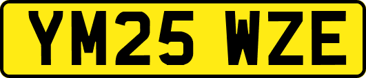 YM25WZE