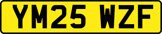 YM25WZF