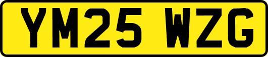YM25WZG