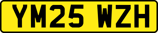 YM25WZH