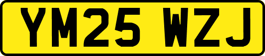 YM25WZJ