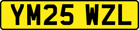 YM25WZL