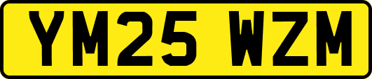 YM25WZM