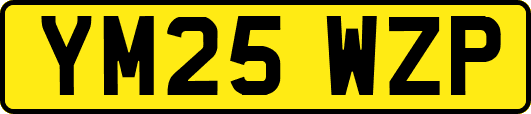 YM25WZP