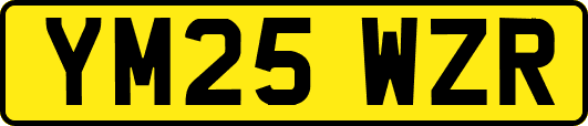 YM25WZR