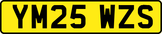 YM25WZS