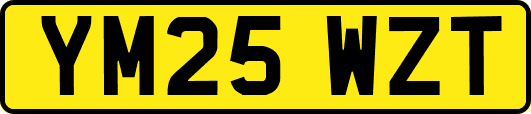 YM25WZT