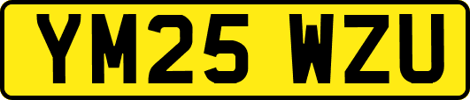 YM25WZU