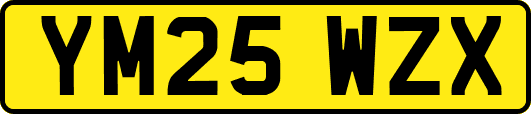 YM25WZX