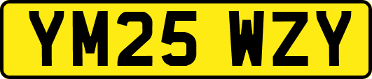 YM25WZY