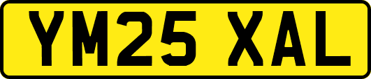 YM25XAL