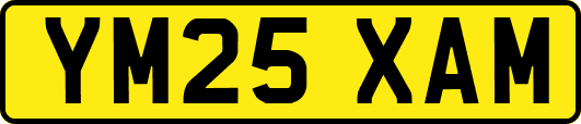 YM25XAM