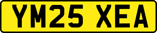 YM25XEA