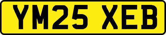 YM25XEB