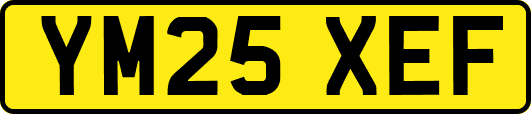 YM25XEF