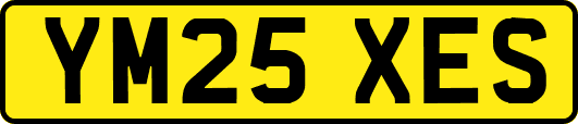 YM25XES