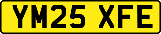 YM25XFE