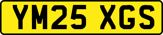 YM25XGS