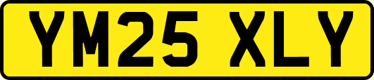 YM25XLY