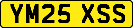 YM25XSS