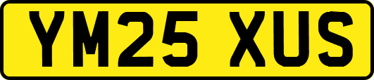 YM25XUS
