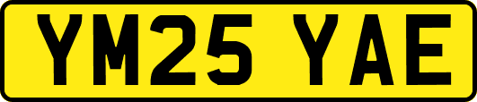 YM25YAE
