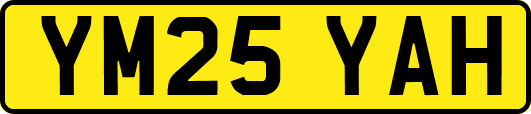 YM25YAH
