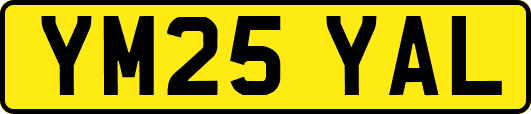 YM25YAL