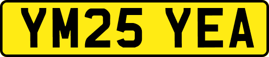YM25YEA