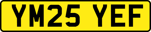 YM25YEF