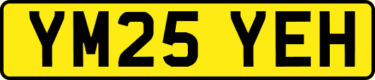 YM25YEH