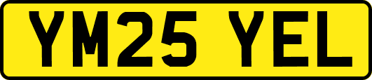 YM25YEL