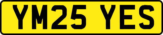 YM25YES
